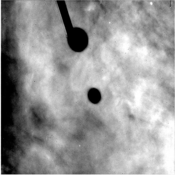 日冕圖——南希·格雷斯羅馬太空望遠鏡的新部件