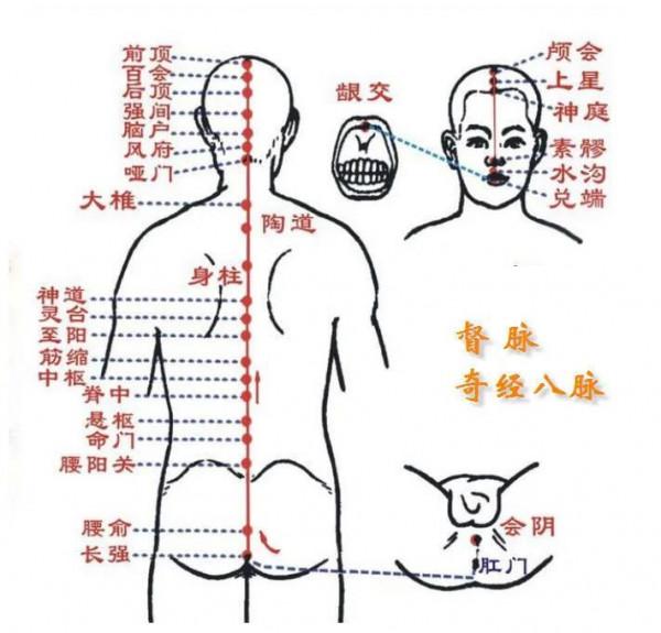 奇經八脈的養生保健價值