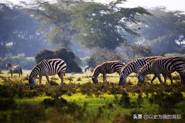 非洲54國的獨立時間,最早獨立的是個小國,1960年有17個國家獨立 非洲54國的獨立時間,最早獨立的是個小國,1960年有17個國家獨立