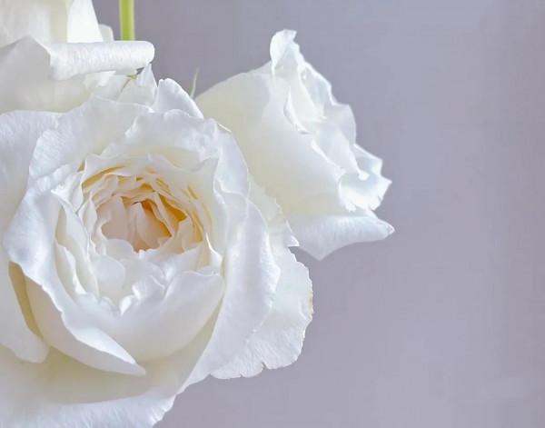 《易經》一個人智慧境界提升,相貌跟著轉變,無形中影響他人變好 《易經》一個人智慧境界提升,相貌跟著轉變,無形中影響他人變好