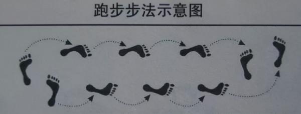 氣排球技術入門全解