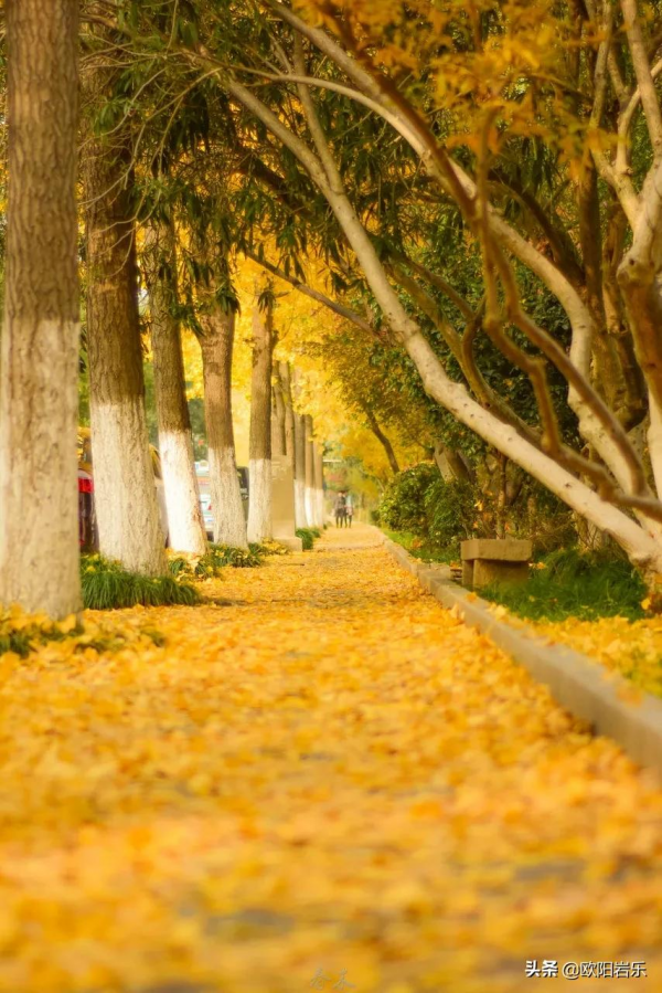 秋天的第一場旅行，你可以去這6個地方。一入秋，他們就變色了…