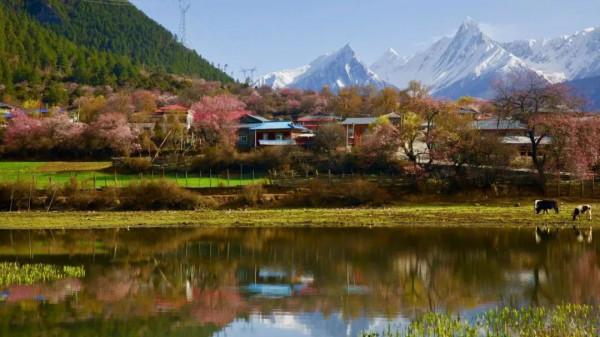 去西藏，感受最美雪山、桃花、星空、冰川...