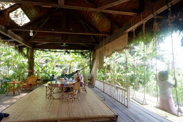 嚮往的生活蘑菇屋收費參觀，20元一人還送果汁，小院實在太美了