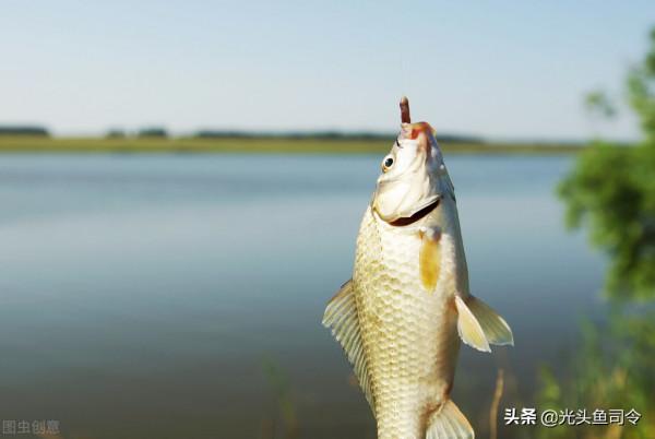 發小撿了只浮漂,前前後後花了1萬多,被嘲笑至今 發小撿了只浮漂,前前後後花了1萬多,被嘲笑至今