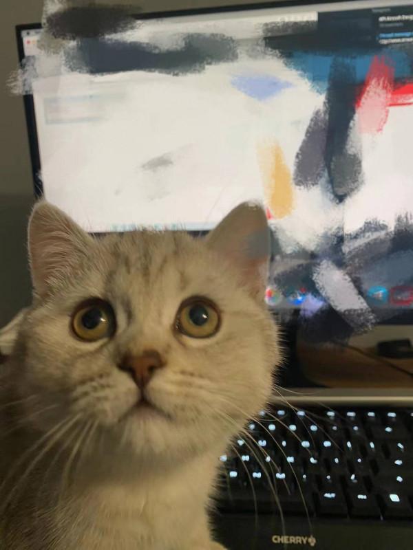 留學生講述逃離烏克蘭細節：手機差點被搶 母親為兒子禱告