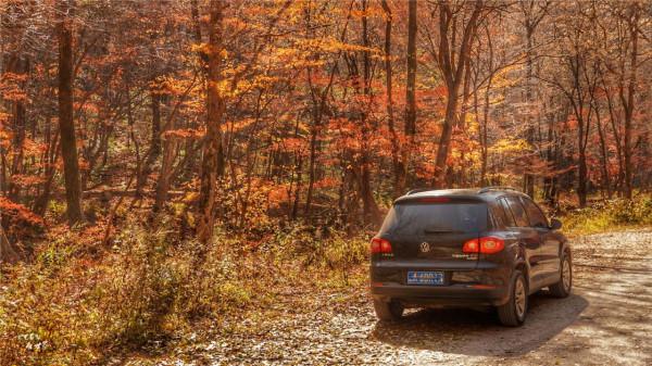 本溪有一個可以自駕遊覽的景區，觀賞紅葉絕美，今年秋天不能錯過