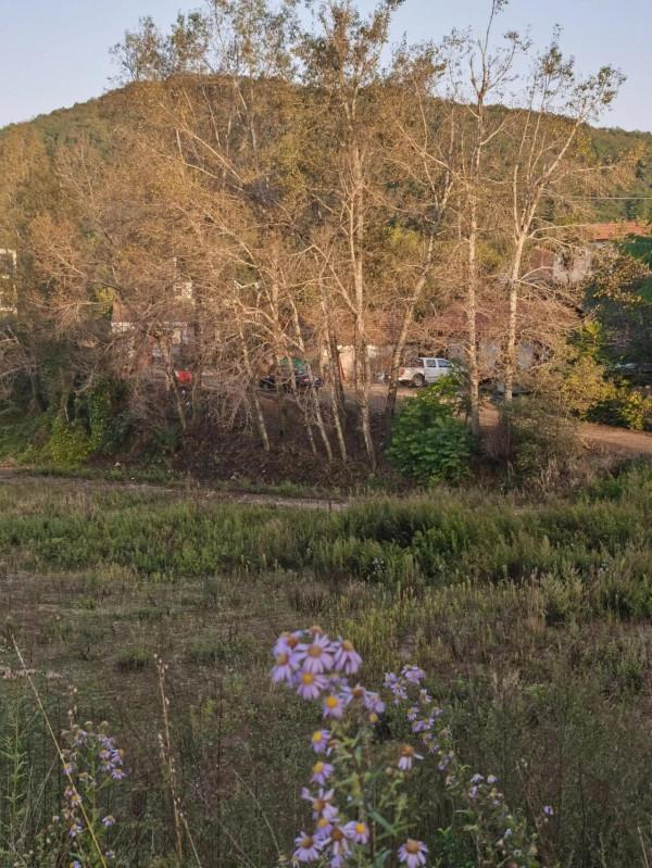 中秋團圓曲一一《愛情大學體驗大綱》讓天下單身終成眷屬