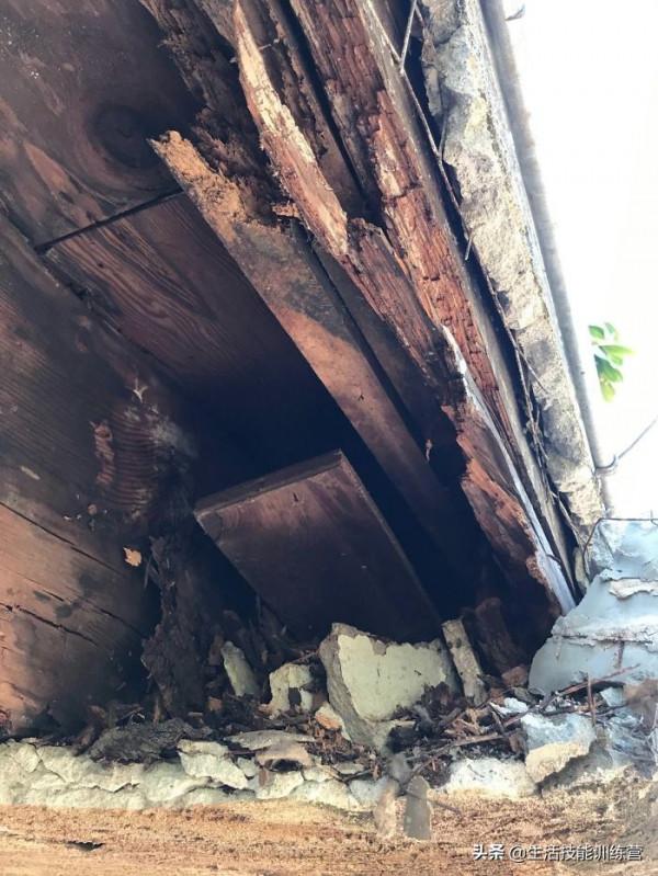 危樓高百尺，35張圖片提醒我們房屋安全不是兒戲