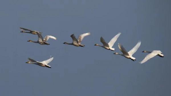 躲在車站哭泣的老人…… 躲在車站哭泣的老人……