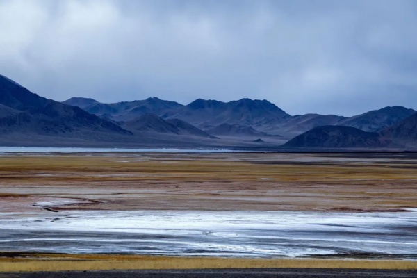 在阿里的四季裡，感受美好的一年