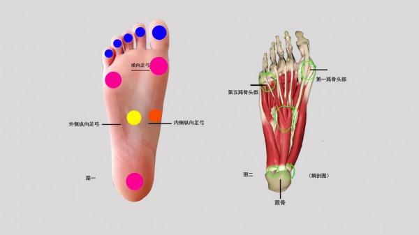 瑜伽山式站姿不是站直了就做對了，五個細節教你站直穩如山