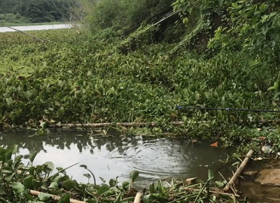 廣州一男子遇上“剪刀魚”,鋼絲線都被咬斷,守了5天才釣上岸 廣州一男子遇上“剪刀魚”,鋼絲線都被咬斷,守了5天才釣上岸