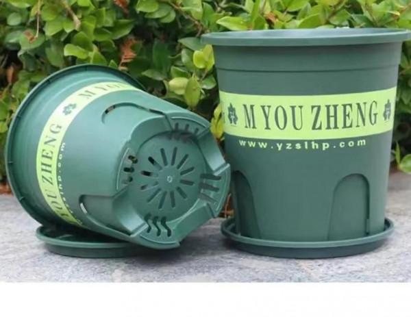 封閉陽臺養三角梅花盆如何選擇 封閉陽臺養三角梅花盆如何選擇