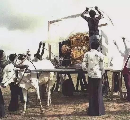 散落人間的15個冷知識，這迷亂的人情風物，讓我的智商中了毒