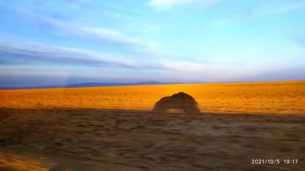 烏倫古湖邊撿到心儀的戈壁玉