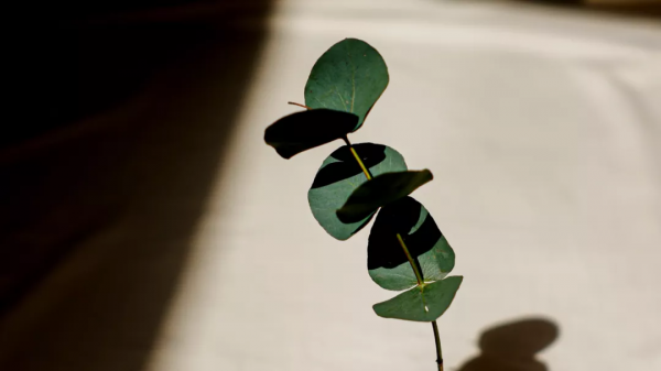 人生匆忙,不必慌張 人生匆忙,不必慌張