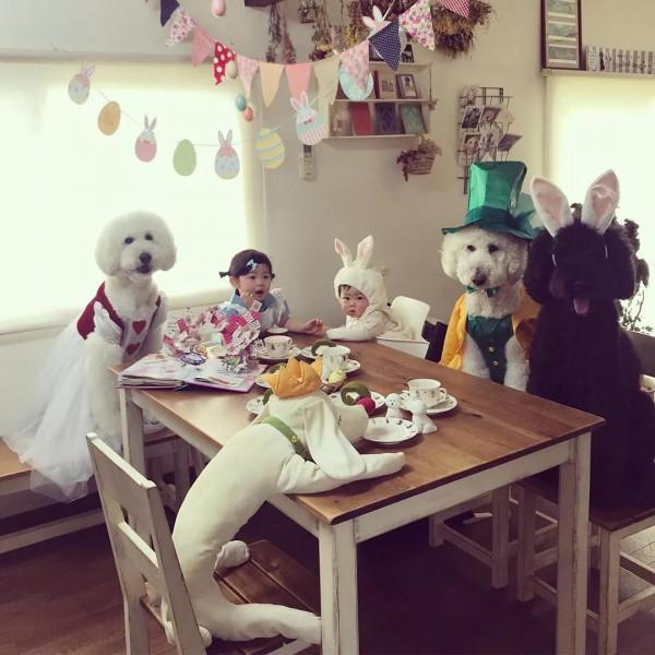 日本奶奶分享小孫女和三隻大狗狗的日常，治癒了56萬+網友…