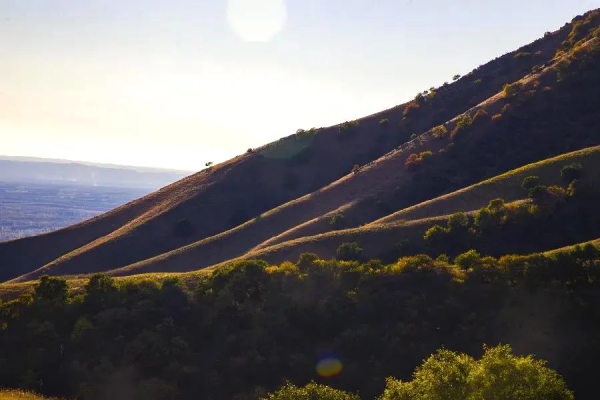 秋天的杏花谷：每一幀都是風光大片