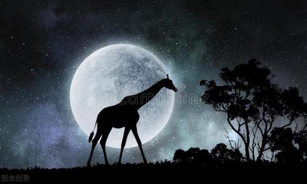 關於動物的20個冷知識,有多少是您不知道的呢?一起來看看吧 關於動物的20個冷知識,有多少是您不知道的呢?一起來看看吧