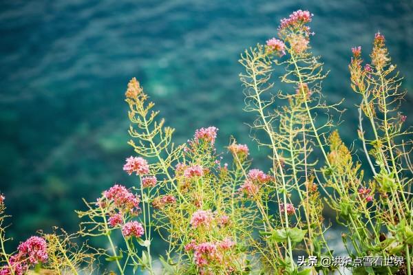 越是艱難處,越是修心時;不能勝寸心,安能勝蒼穹 越是艱難處,越是修心時;不能勝寸心,安能勝蒼穹