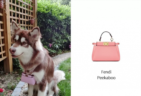 扒一扒&OpenCurlyDoubleQuote;國民老公&rdquo;王思聰的表 &vert; 原來他只追求買不到的超級限量款