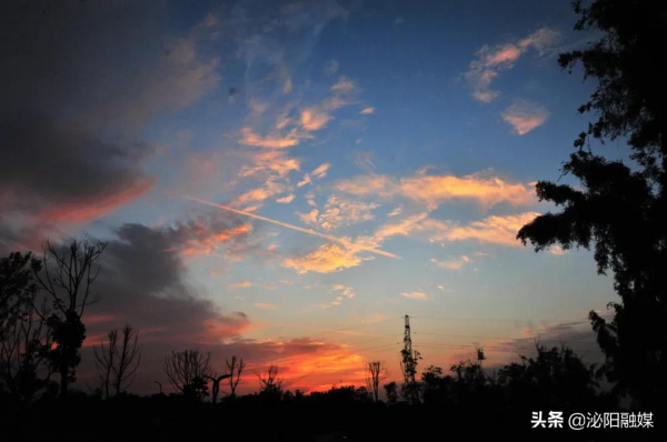 不可思議！已是深秋，月兒灣公園卻如此多彩，恰似夏日還未走遠