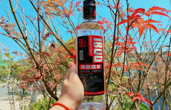 超市3種“迷之”白酒，別看價低包裝“寒摻”，卻特招有錢人喜歡