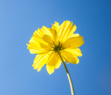 人到中年,要學會收起自己的“熱心腸” 人到中年,要學會收起自己的“熱心腸”