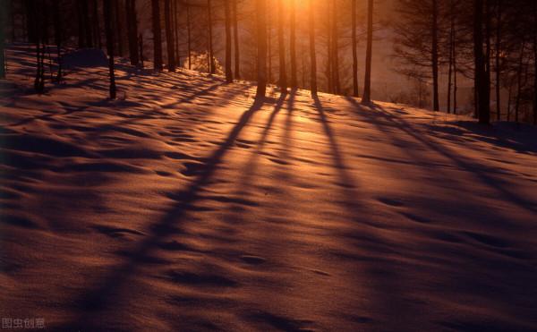 松林邊的美鹿七絕