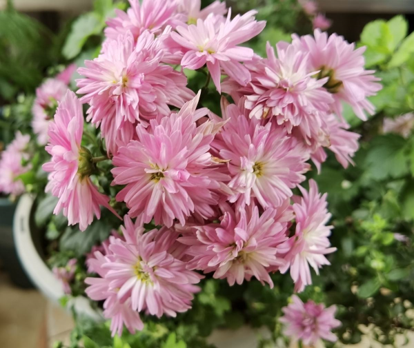 這10個道理，過了40歲之後才懂，你懂了幾個？