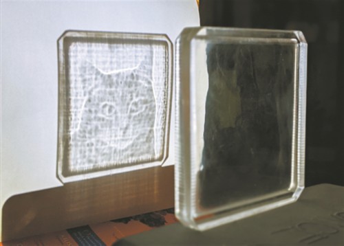 透明瓷磚上“乍現”的貓