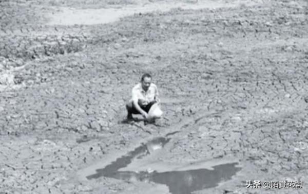 長江斷流是真實的嗎？