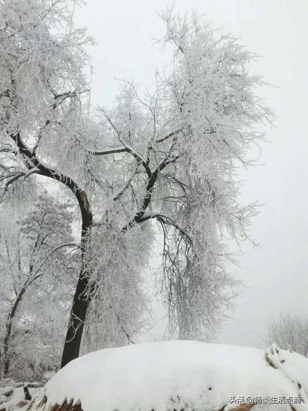 天氣預報：今天是冬至節氣！晴天啥預兆？看看老祖宗留下的諺語