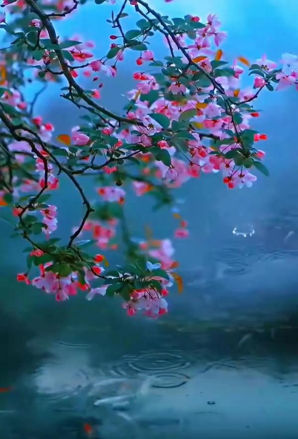 美景：尋“夏”的氣息，山花爛漫好景色