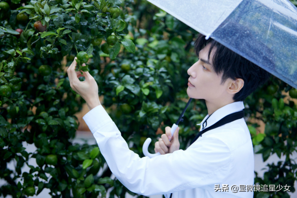 劉亦菲龔俊合作？迪麗熱巴模仿？蔡徐坤發展？羅雲熙狀態？