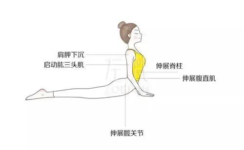 7個可以讓你開啟胸腔，身姿挺拔的瑜伽體式