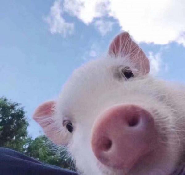 民間故事：屠夫夜過荒地，給陰兵磨了一把刀，陰兵守護他一生