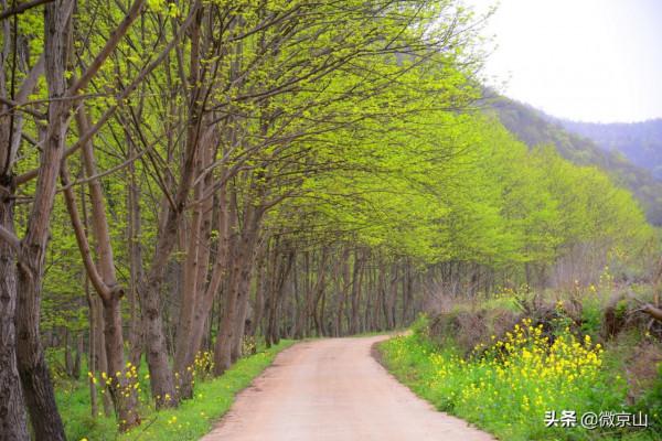 京山風俗：走人嘠
