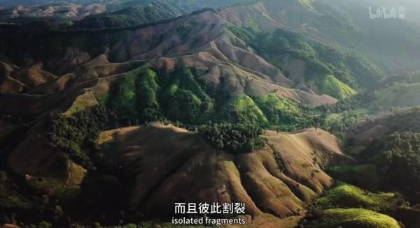 電影成真?再這麼下去,人類被自然災難吞噬就要成為現實 電影成真?再這麼下去,人類被自然災難吞噬就要成為現實