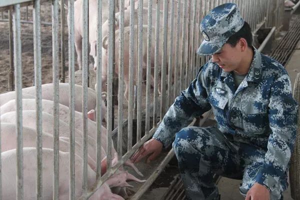 上將王建安的吃飯規矩：自己隨便吃，家屬按規定，戰士們不能糊弄