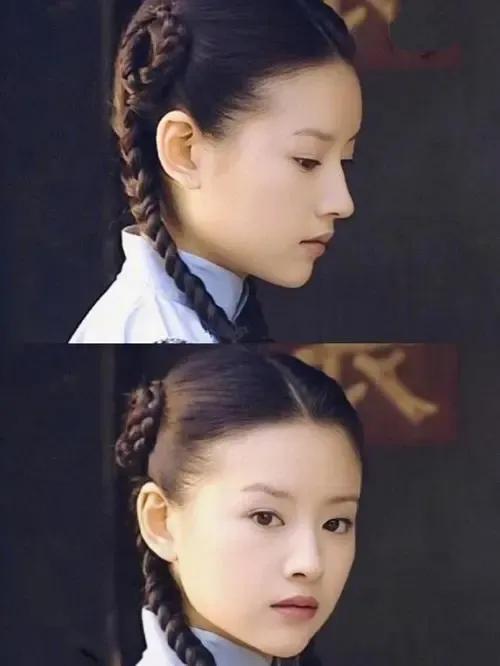 董潔圖集：一代“清純玉女”就此跌落神壇