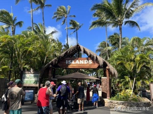 “盛大”“震撼”平安夜在波利尼西亞文化中心看南太平洋歌舞秀