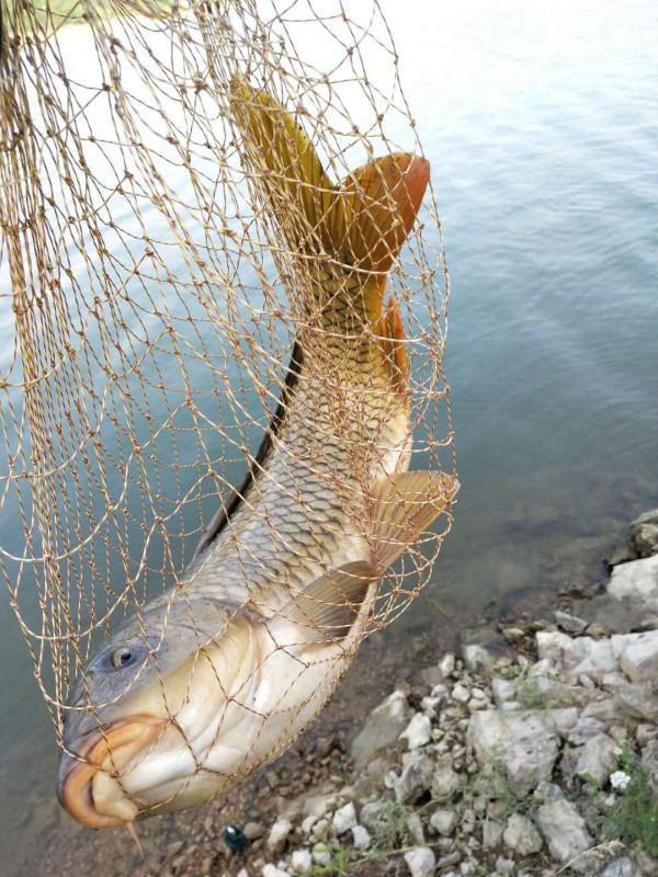 官莊水庫野釣爆護之旅,看看大師如何使用者實踐來證明 官莊水庫野釣爆護之旅,看看大師如何使用者實踐來證明