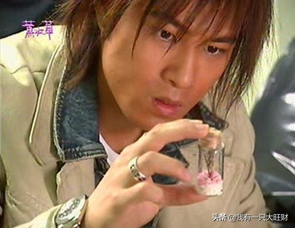 《薰衣草》從冷漠到深情,對以薰至死不渝的愛,是晴川最大的成長 《薰衣草》從冷漠到深情,對以薰至死不渝的愛,是晴川最大的成長