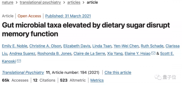 小時候糖吃多了，長大後記性會變差｜Nature子刊最新研究