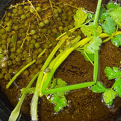 萬能醬「燒椒醬」簡單又好吃的做法