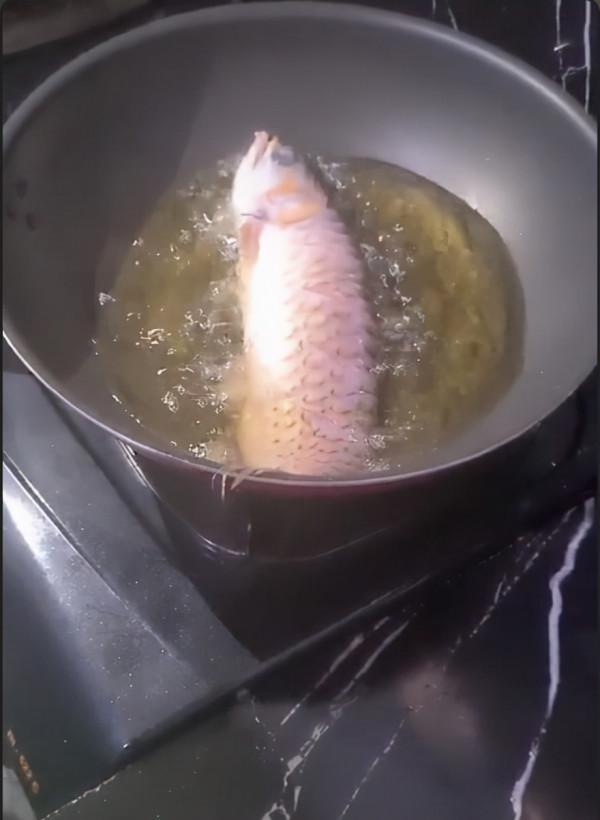 外國丈夫斥巨資買龍魚,卻甩手丟給妻子照料,妻子氣急把魚炸了 外國丈夫斥巨資買龍魚,卻甩手丟給妻子照料,妻子氣急把魚炸了