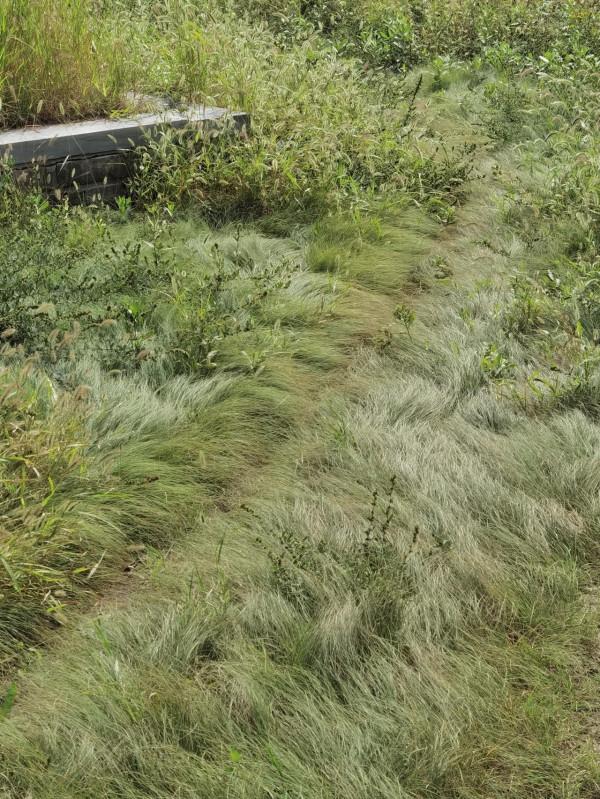 步入圓明園西區 皇帝的寢室