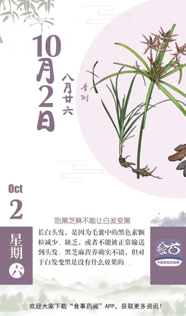 早安｜小科普——吃黑芝麻不能讓白髮變黑